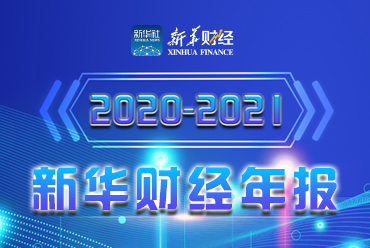 2020-2021新华财经年报