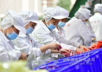 廣西柳州：推動螺螄粉產業高質量發展